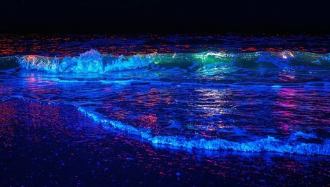 Glowing Bioluminescent Waves Rolling Over Neon Wet Sand With Magenta and Cyan Reflections