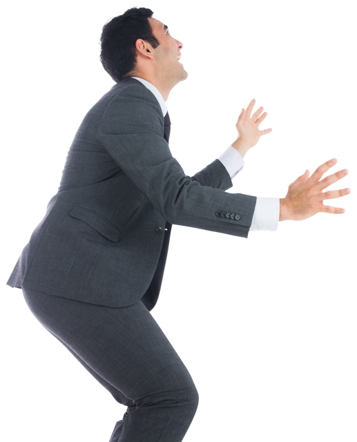 Overjoyed Biracial Businessman Celebrates Success, Transparent Background - Download Free Stock Videos Pikwizard.com