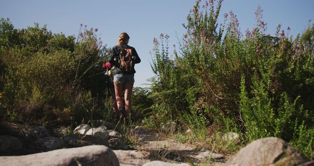 Young Woman Hiking on Trail in Lush Green Forest - Download Free Stock Images Pikwizard.com