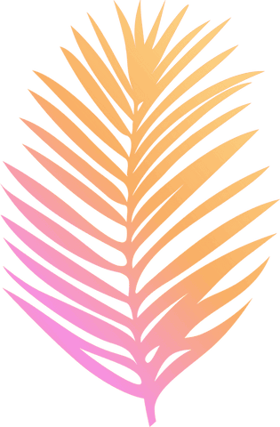 Vibrant palm frond leaf with pink-yellow gradient on transparent