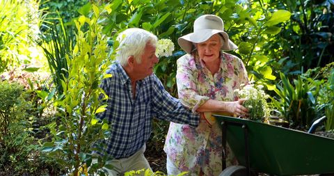 Senior Couple Enjoying Time Together in Lush Garden