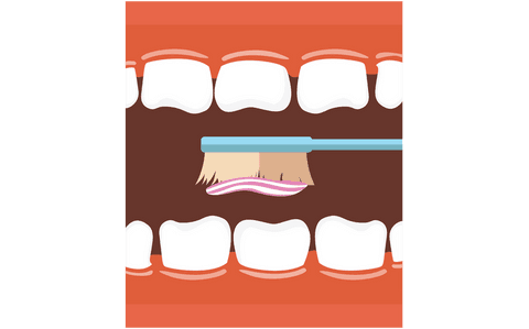 transparent vector illustration of teeth brushing for dental hygiene - Download Free Stock Videos Pikwizard.com