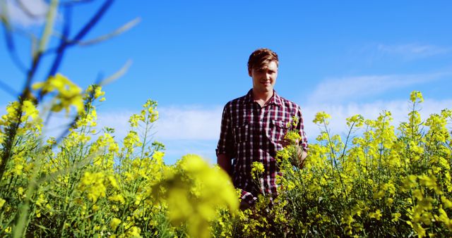A man is enjoying a sunny day while standing in a lush mustard field. This image emphasizes happiness, tranquility, and rural beauty. Suitable for articles, blogs, or advertisements related to agriculture, lifestyle, farming, outdoors activities, or nature.