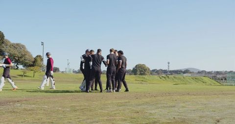 Amateur Cricket Team Celebrating on Sunny Field