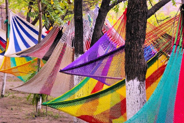 Colorful Hammocks Hanging Between Trees in Vibrant Outdoor Setting - Download Free Stock Photos Pikwizard.com