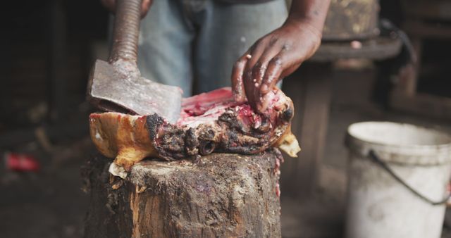 Skilled Butcher Preparing Fresh Meat in Rustic Shop - Download Free Stock Images Pikwizard.com