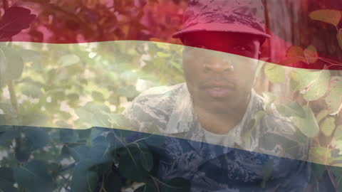 Dutch Flag Blends with Reflective Soldier in Forest