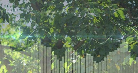 Nature with Digital Data Overlay Illustrating Environmental Analytics