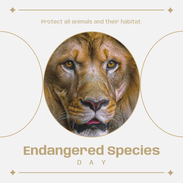 Endangered Species Day Lion Conservation Awareness Poster - Download Free Stock Templates Pikwizard.com