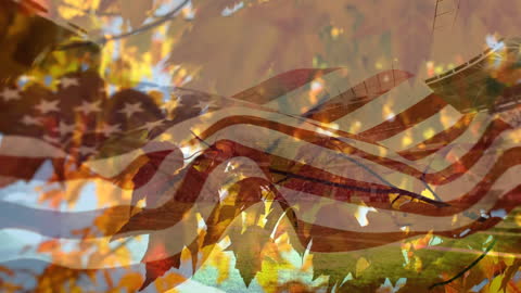 Autumn Leaves and American Flag in Stadium Setting