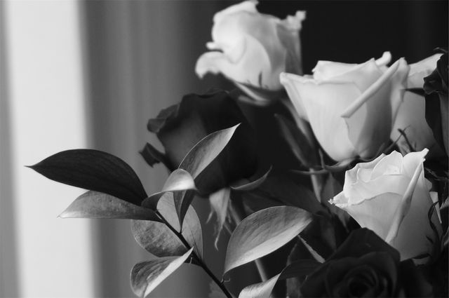 Roses bouquet black and white  - Download Free Stock Photos Pikwizard.com