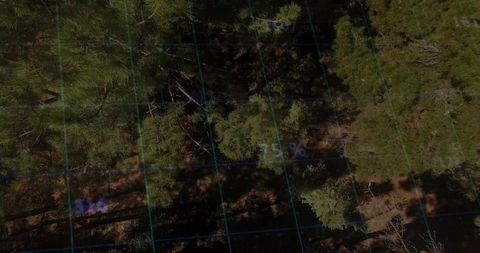 Drone mapping dense pine canopy with blue grid overlay and percentage labels