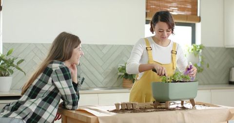 Female friends planting indoor herb garden in bright kitchen wearing mustard overalls