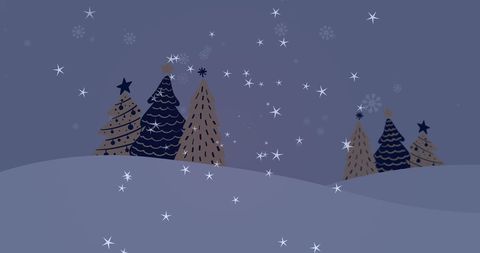 Magical Winter Night with Falling Stars and Fir Trees