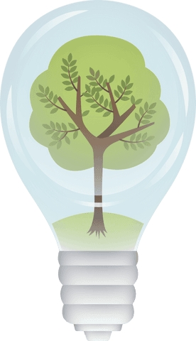 transparent light bulb with tree inside illustration concept - Download Free Stock Videos Pikwizard.com