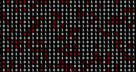 Dynamic Binary Code Streams on Black Background - Download Free Stock Images Pikwizard.com