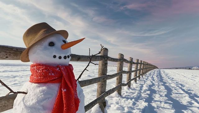 Snowman with straw hat on snowy countryside landscape