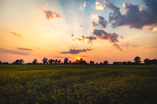 This image showcases a tranquil sunset over a rural farm field. The sky features an array of colors from orange to purple with beautiful cloud formations. This serene countryside landscape emphasizes the peacefulness and beauty of nature. Ideal for use in agricultural advertisements, nature-themed articles, travel brochures, and web designs highlighting rural landscapes.