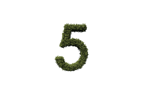 transparent leafy number 5 design on transparent background - Download Free Stock Videos Pikwizard.com
