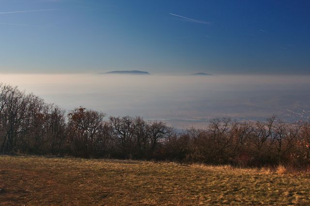 Image of a mountain landscape partially covered by fog, with a clear blue sky above. Bare trees line the foreground, suggesting an autumn setting. Ideal for use in nature photography collections, travel blogs, calendars, or promotional materials for outdoor activities and tourism.