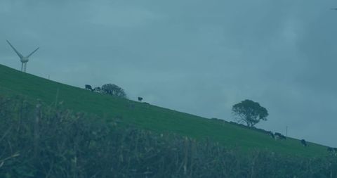 Scenic Pasture with Grazing Cows and Wind Turbine