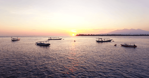 boats sailing in open sea during beautiful transparent sunset - Download Free Stock Videos Pikwizard.com