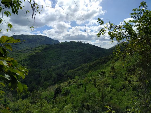 Expansive view of green mountains covered in dense vegetation under a bright blue sky with fluffy clouds. Ideal for use in environmental conservation projects, travel brochures, hiking and nature websites or any projects related to outdoor adventures and natural beauty.