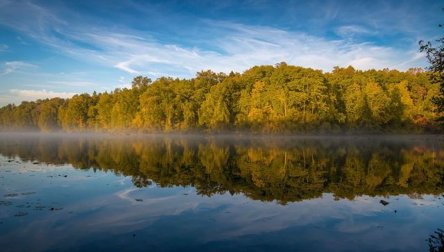 Autumn Treeline Reflected on Still Lake with Morning Mist and Calm Blue Sky