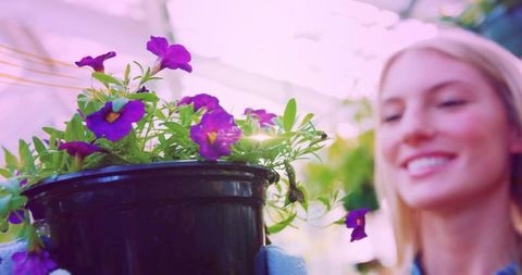 Smiling gardener holding black nursery pot with purple petunias and blue gloves