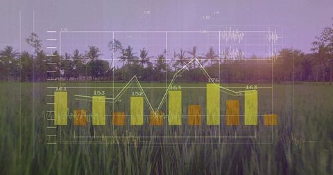 Precision agriculture data overlay on rice paddy at dusk with yellow bar and white line charts