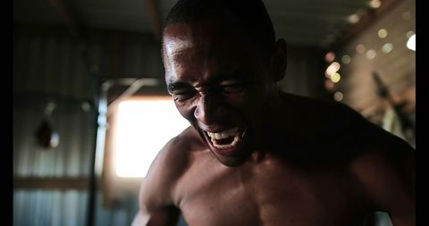 Aggressive Boxer Shouting in Shadowy Gym Environment