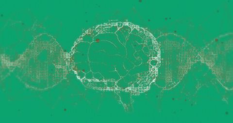 Digital Illustration of Brain with Connections on Green Background - Download Free Stock Images Pikwizard.com