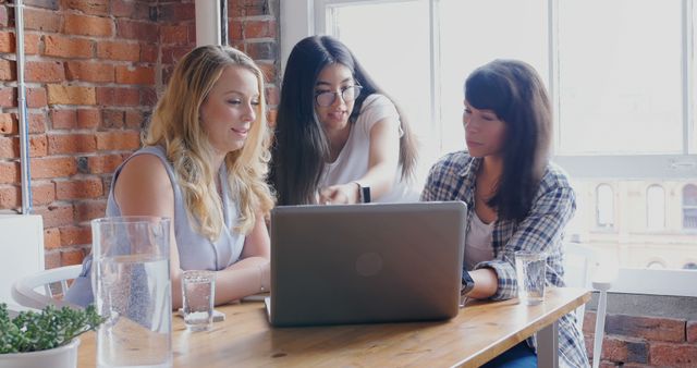 Diverse Group of Women Collaborating on Project at Office - Download Free Stock Images Pikwizard.com