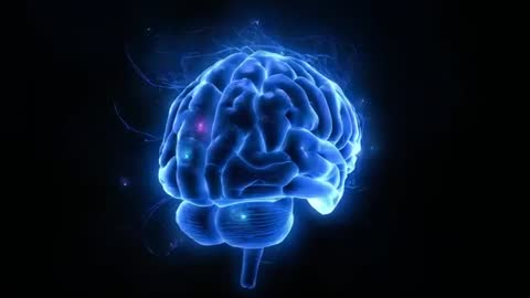 Holographic 3D Brain Model Illuminating Dark Void