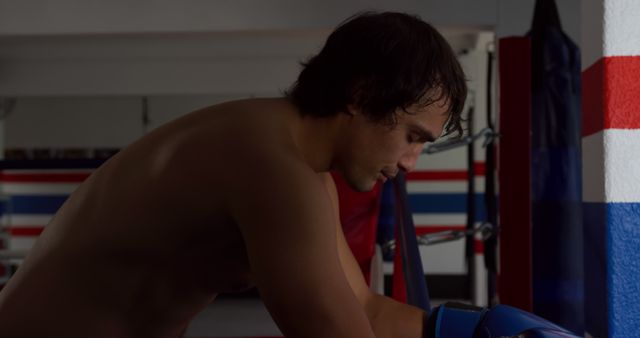 Determined Young Boxer Training in Gym with Focus and Commitment - Download Free Stock Images Pikwizard.com