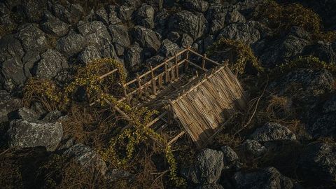Overgrown bamboo frame among rocks and vines