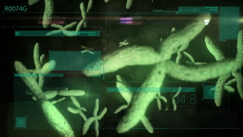 Chromosomal Data Analysis Interface Visual Animation