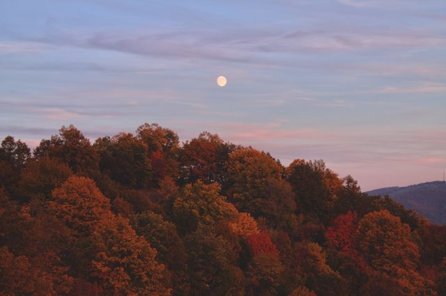 Colorful autumn trees under a full moon at sunset create a peaceful, picturesque scene perfect for seasonal greetings, nature-related promotions, travel ads, or fall-themed decorations.