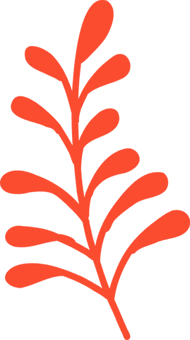 Stylized red branch with flowing droplet leaves on transparent background
