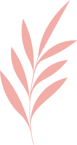 transparent pink botanical branch with minimal design - Download Free Stock Videos Pikwizard.com