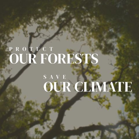 environmental conservation message on abstract forest background - Download Free Stock Templates Pikwizard.com