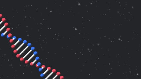 Spinning DNA Structure with Falling Particles