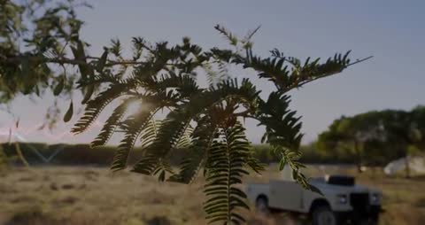Peaceful Sunset Scenery with Digital Data Overlay and Classic Truck