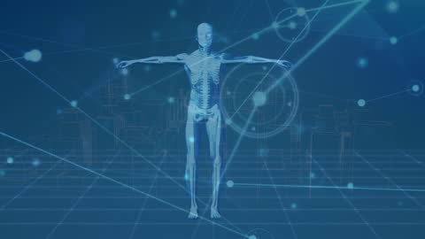 Human Body Model with Digital Network Connections