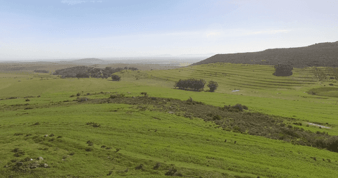 transparent green hills and open fields against clear sky - Download Free Stock Videos Pikwizard.com