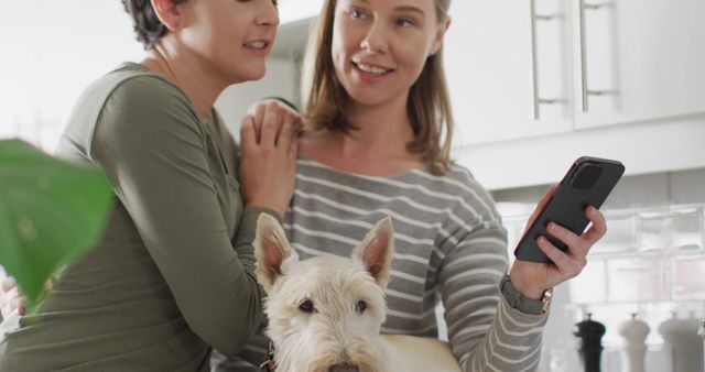 Couple enjoying moment together in modern kitchen while petting dog and looking at smartphone. Great for themes related to relationships, family life, pet ownership, domestic harmony, technology in daily life, and home settings.