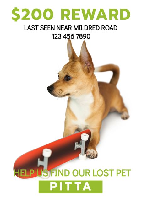 Image of a lost dog reward poster featuring a brown dog with a skateboard and contact information. Useful for creating missing pet posters, marketing pet recovery services, and raising awareness for lost pets in the community.