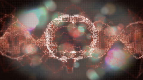 Spinning DNA Strand with Digital Network Connections