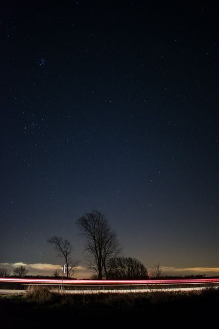 Starry Night Sky Above Silhouetted Trees and Light Trails - Download Free Stock Photos Pikwizard.com