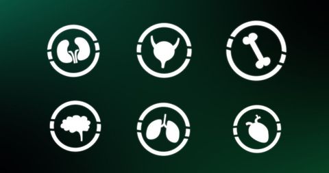 Human Anatomy Icons on Sleek Green Background - Download Free Stock Images Pikwizard.com